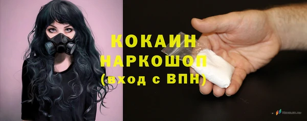 тгк Гусев