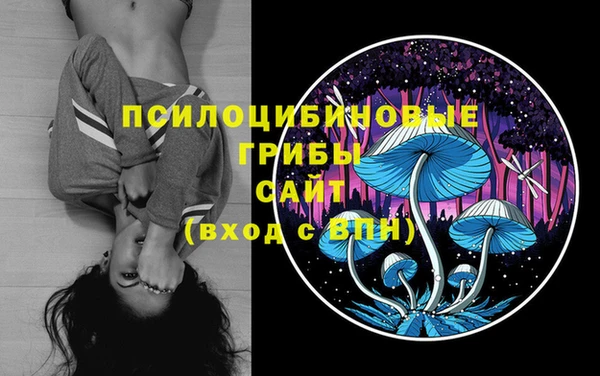 бутират Горнозаводск
