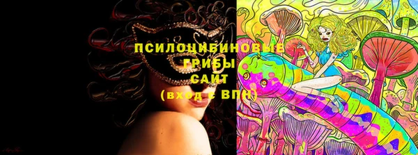бутират Горнозаводск