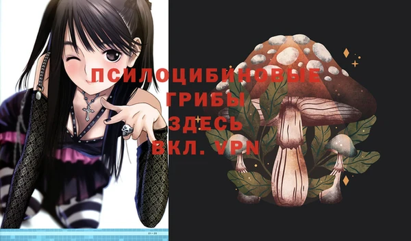бутират Горнозаводск