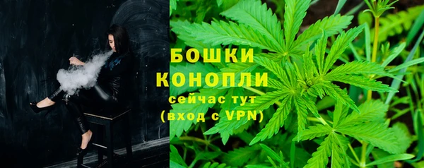 крисы Горно-Алтайск