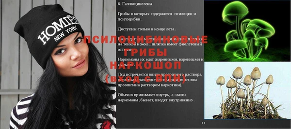 крисы Горно-Алтайск