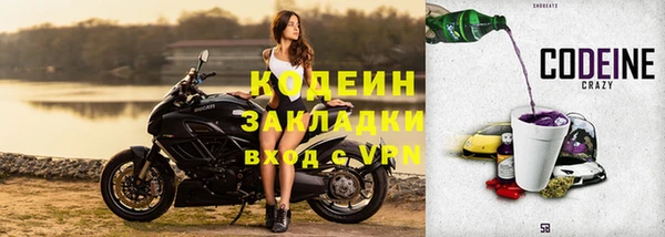 тгк Гусев